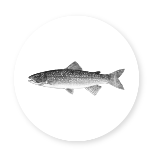 icon circle trout